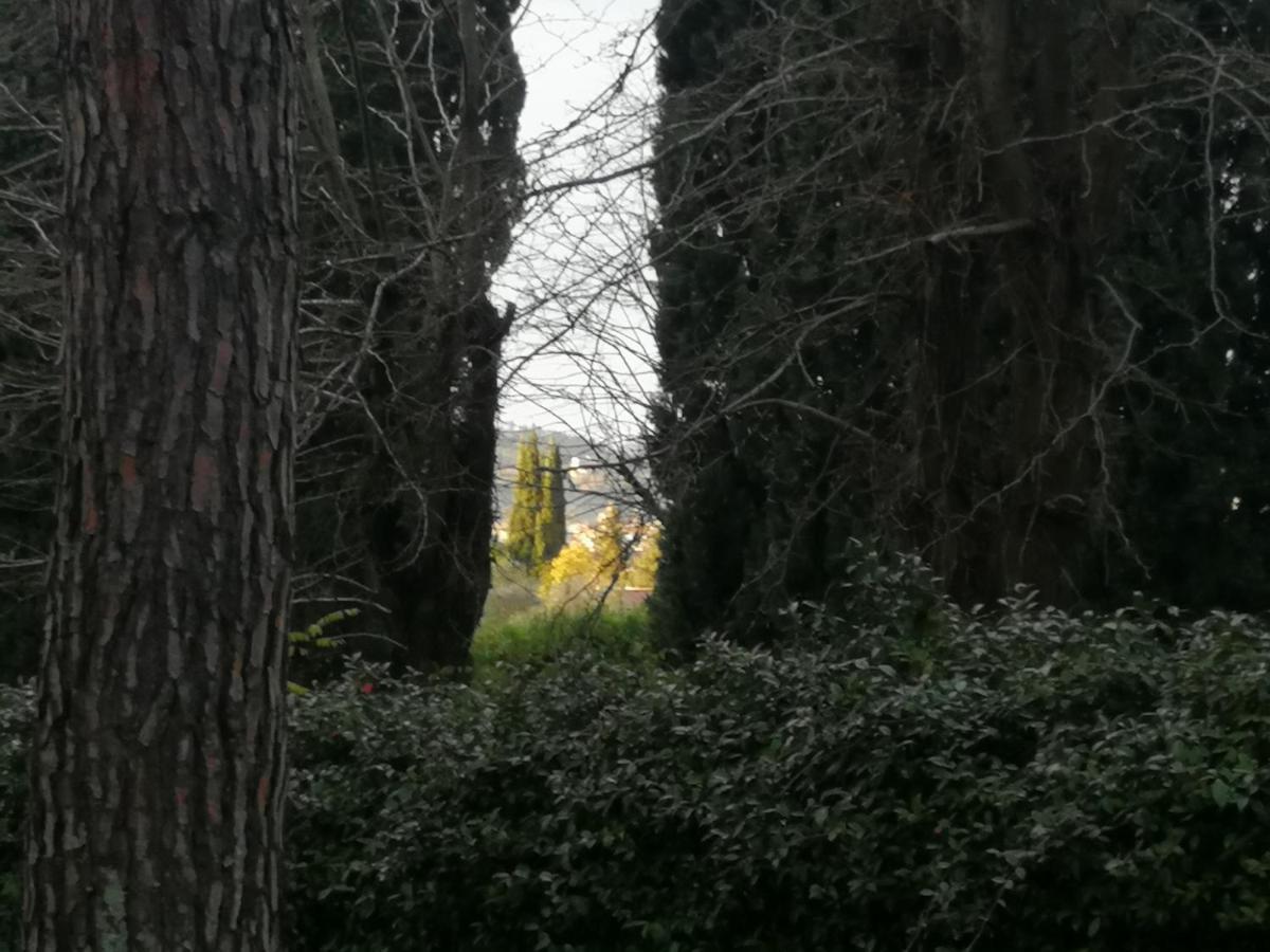 Apartamento La Casa Di Duccio Con Parcheggio Gratuito Florencia Exterior foto